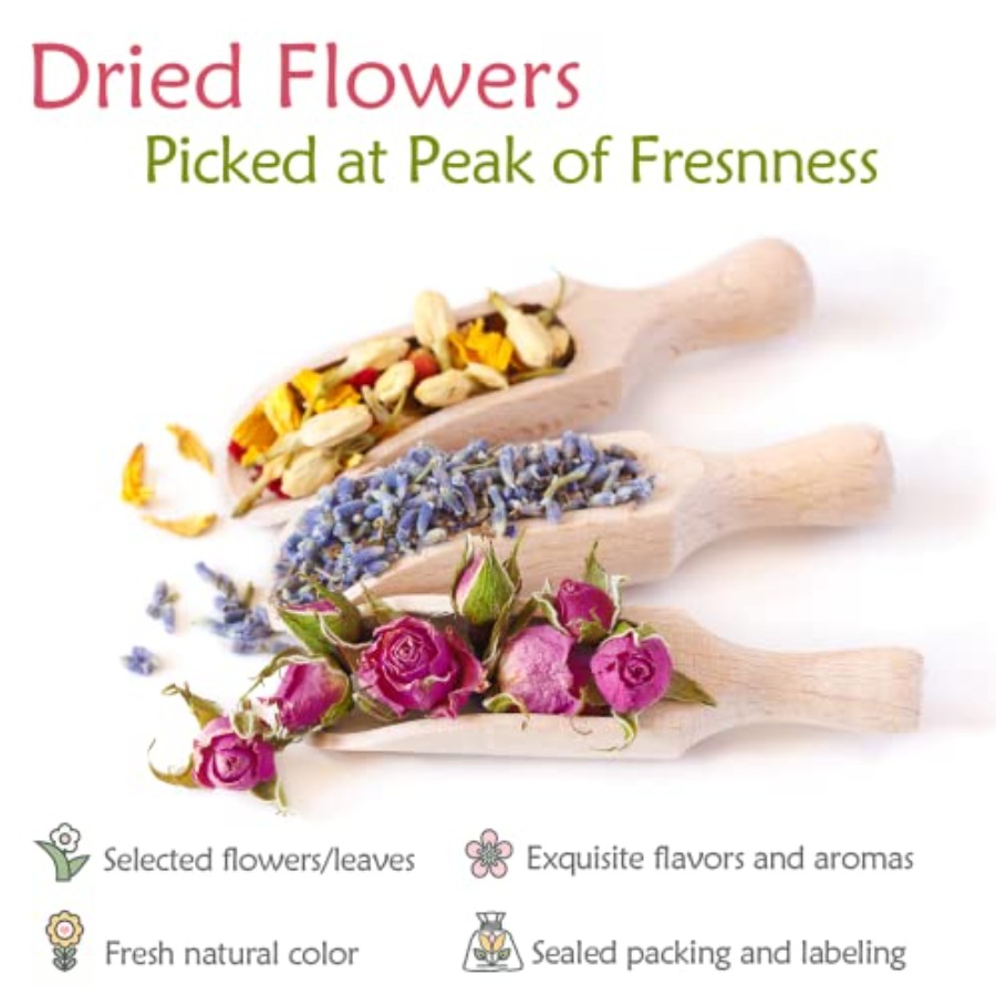 Latest] Pack Dried Flowers for - огляд і ціна Resin Jewelry Kit
